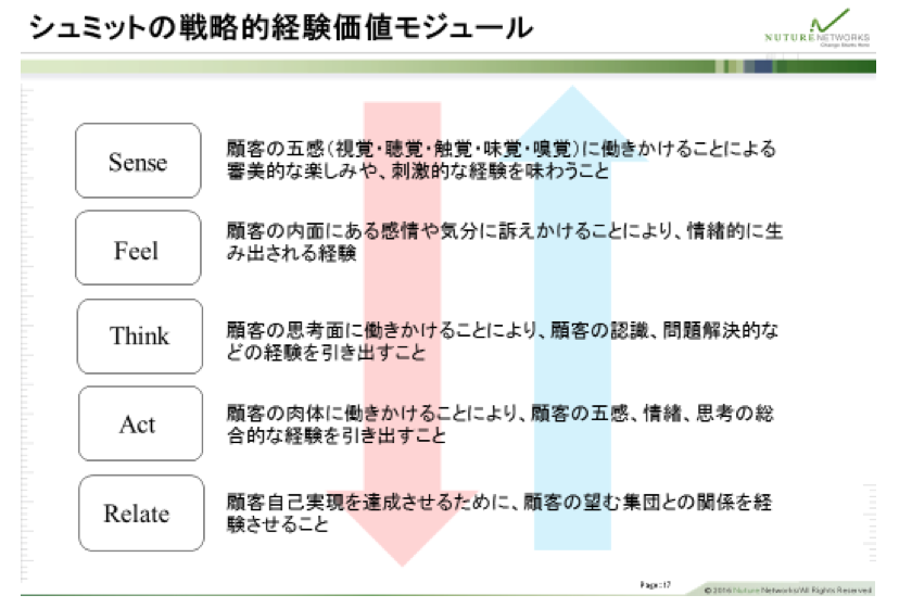 シュミットの戦略的経験価値モジュール